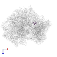 Small ribosomal subunit protein eS25 in PDB entry 6y57, assembly 1, top view.