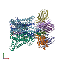 PDB entry 6y9b coloured by chain, front view.