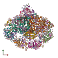 PDB entry 6yac coloured by chain, front view.