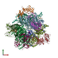 PDB entry 6ybp coloured by chain, front view.