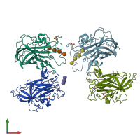 PDB entry 6ydc coloured by chain, front view.