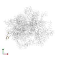 Large ribosomal subunit protein mL50 in PDB entry 6ydp, assembly 1, front view.