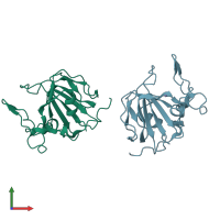 PDB entry 6yj1 coloured by chain, front view.