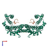 Tetrameric assembly 1 of PDB entry 6ylu coloured by chemically distinct molecules and viewed from the top.