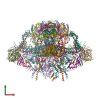 PDB entry 6ynx coloured by chain, front view.