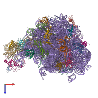 PDB entry 6ysi coloured by chain, top view.