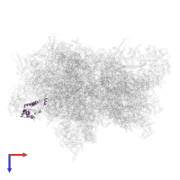 Related to ribosomal protein YmL20, mitochondrial in PDB entry 6ywe, assembly 1, top view.