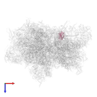 Translational machinery component in PDB entry 6ywe, assembly 1, top view.