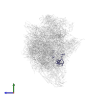Large ribosomal subunit protein uL3m in PDB entry 6ywx, assembly 1, side view.