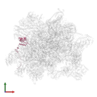 Ribosomal protein L9 domain-containing protein in PDB entry 6yxy, assembly 1, front view.