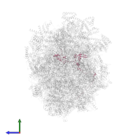 Ribosomal protein L9 domain-containing protein in PDB entry 6yxy, assembly 1, side view.