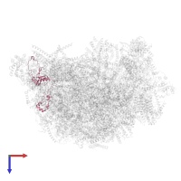 Ribosomal protein L9 domain-containing protein in PDB entry 6yxy, assembly 1, top view.