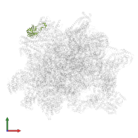 Peptidyl-prolyl cis-trans isomerase in PDB entry 6yxy, assembly 1, front view.