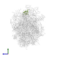 Peptidyl-prolyl cis-trans isomerase in PDB entry 6yxy, assembly 1, side view.