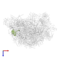 Peptidyl-prolyl cis-trans isomerase in PDB entry 6yxy, assembly 1, top view.