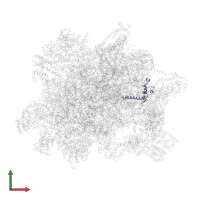 mL95 in PDB entry 6yxy, assembly 1, front view.