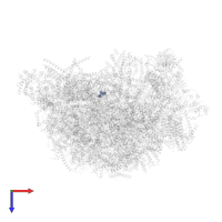 ADENOSINE-5'-TRIPHOSPHATE in PDB entry 6yxy, assembly 1, top view.