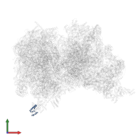 bL7/12m in PDB entry 6z1p, assembly 1, front view.