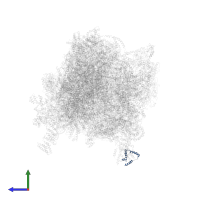 bL7/12m in PDB entry 6z1p, assembly 1, side view.