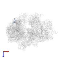 bL7/12m in PDB entry 6z1p, assembly 1, top view.