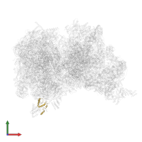 Ribosomal protein L7/L12 C-terminal domain-containing protein in PDB entry 6z1p, assembly 1, front view.