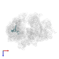 50S ribosomal protein L13 in PDB entry 6z1p, assembly 1, top view.