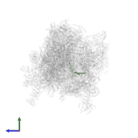 50S ribosomal protein L21 in PDB entry 6z1p, assembly 1, side view.