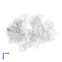 50S ribosomal protein L21 in PDB entry 6z1p, assembly 1, top view.