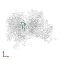 mL40 in PDB entry 6z1p, assembly 1, front view.