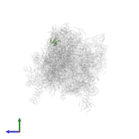 Ribosomal protein S6 in PDB entry 6z1p, assembly 1, side view.