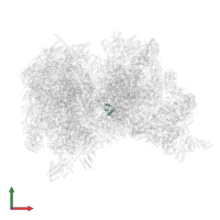 Ribosomal protein S19 in PDB entry 6z1p, assembly 1, front view.