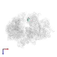 Ribosomal protein S19 in PDB entry 6z1p, assembly 1, top view.