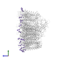 DODECYL-BETA-D-MALTOSIDE in PDB entry 6z5s, assembly 1, side view.