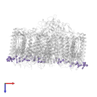 DODECYL-BETA-D-MALTOSIDE in PDB entry 6z5s, assembly 1, top view.