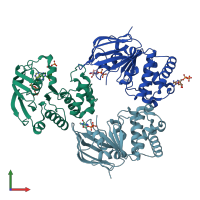 PDB entry 6z63 coloured by chain, front view.