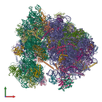 PDB entry 6z6k coloured by chain, front view.