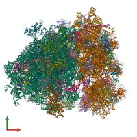 PDB entry 6z6l coloured by chain, front view.