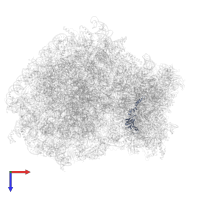 Small ribosomal subunit protein uS12 in PDB entry 6z6l, assembly 1, top view.