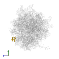 Small ribosomal subunit protein eS12 in PDB entry 6z6m, assembly 1, side view.