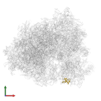 Small ribosomal subunit protein eS25 in PDB entry 6z6m, assembly 1, front view.