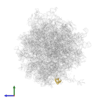 Small ribosomal subunit protein eS25 in PDB entry 6z6m, assembly 1, side view.