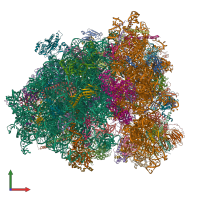 PDB entry 6z6n coloured by chain, front view.
