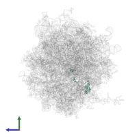 Large ribosomal subunit protein uL15 in PDB entry 6z6n, assembly 1, side view.