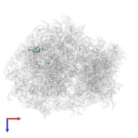 Large ribosomal subunit protein uL15 in PDB entry 6z6n, assembly 1, top view.