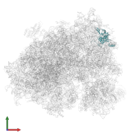 Small ribosomal subunit protein eS4, X isoform in PDB entry 6z6n, assembly 1, front view.