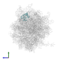Small ribosomal subunit protein eS4, X isoform in PDB entry 6z6n, assembly 1, side view.