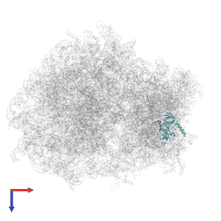 Small ribosomal subunit protein eS4, X isoform in PDB entry 6z6n, assembly 1, top view.