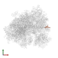 Small ribosomal subunit protein eS21 in PDB entry 6z6n, assembly 1, front view.