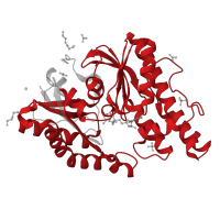 The deposited structure of PDB entry 6z81 contains 2 copies of Pfam domain PF00814 (tRNA N6-adenosine threonylcarbamoyltransferase) in tRNA N6-adenosine threonylcarbamoyltransferase. Showing 1 copy in chain A.