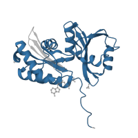 The deposited structure of PDB entry 6z81 contains 2 copies of Pfam domain PF00814 (tRNA N6-adenosine threonylcarbamoyltransferase) in tRNA threonylcarbamoyladenosine biosynthesis protein TsaB. Showing 1 copy in chain C.